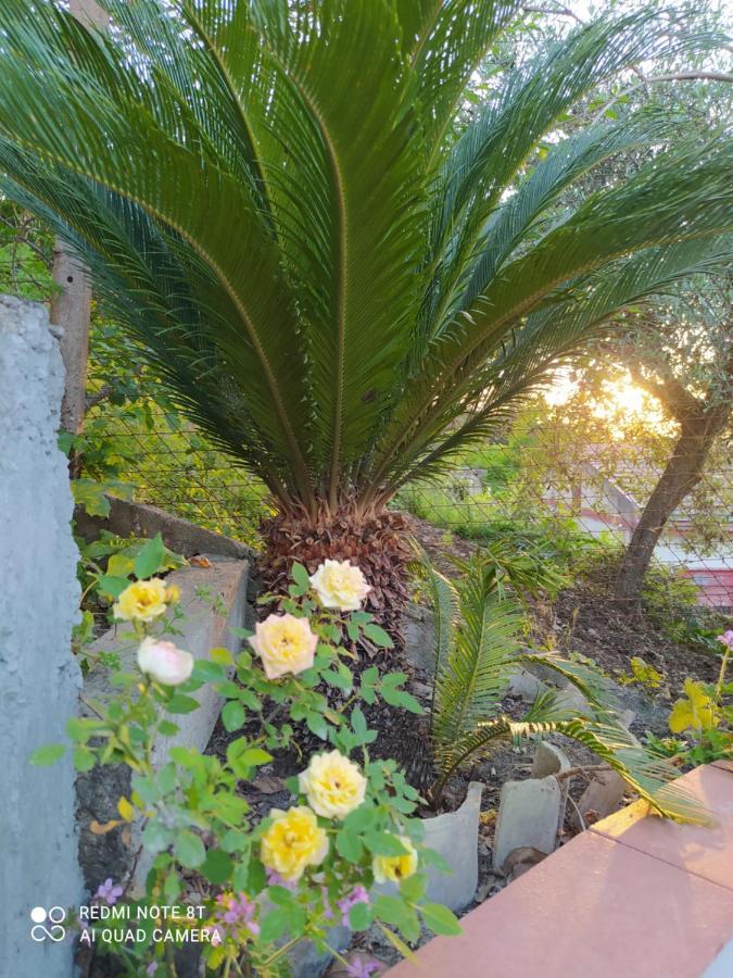 B&B Troisi Racalmuto Dış mekan fotoğraf