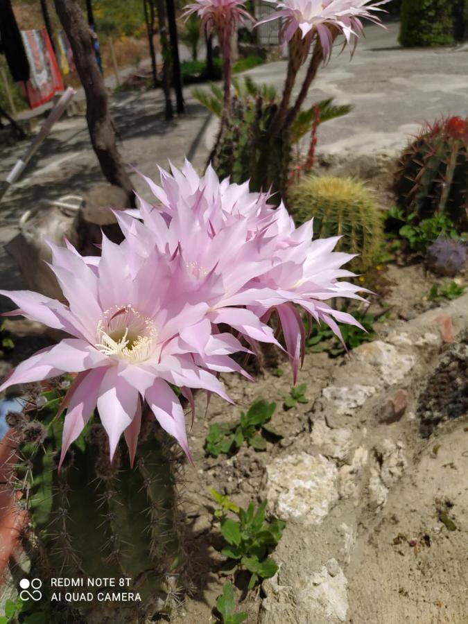 B&B Troisi Racalmuto Dış mekan fotoğraf