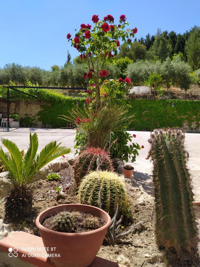 B&B Troisi Racalmuto Dış mekan fotoğraf