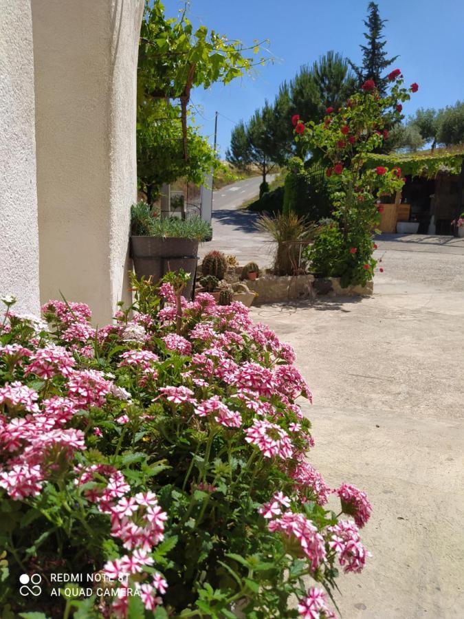 B&B Troisi Racalmuto Dış mekan fotoğraf