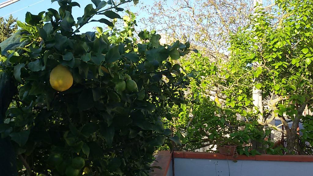 B&B Troisi Racalmuto Dış mekan fotoğraf